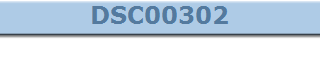 DSC00302