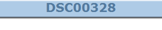 DSC00328