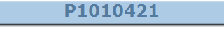 P1010421