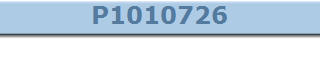 P1010726