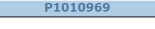 P1010969