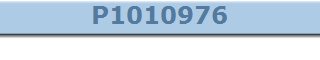 P1010976